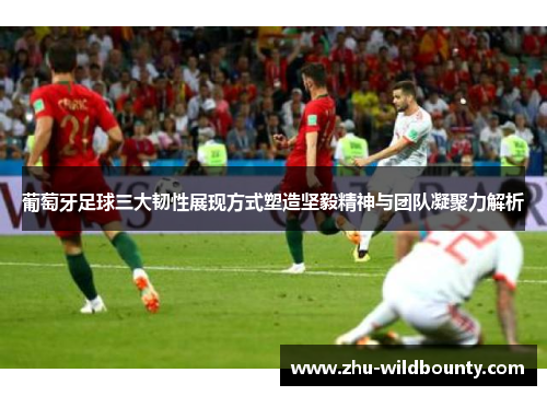 葡萄牙足球三大韧性展现方式塑造坚毅精神与团队凝聚力解析