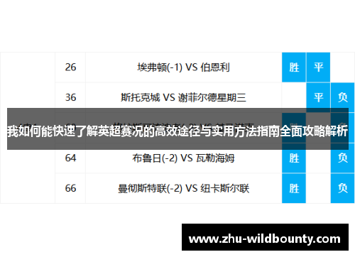 我如何能快速了解英超赛况的高效途径与实用方法指南全面攻略解析